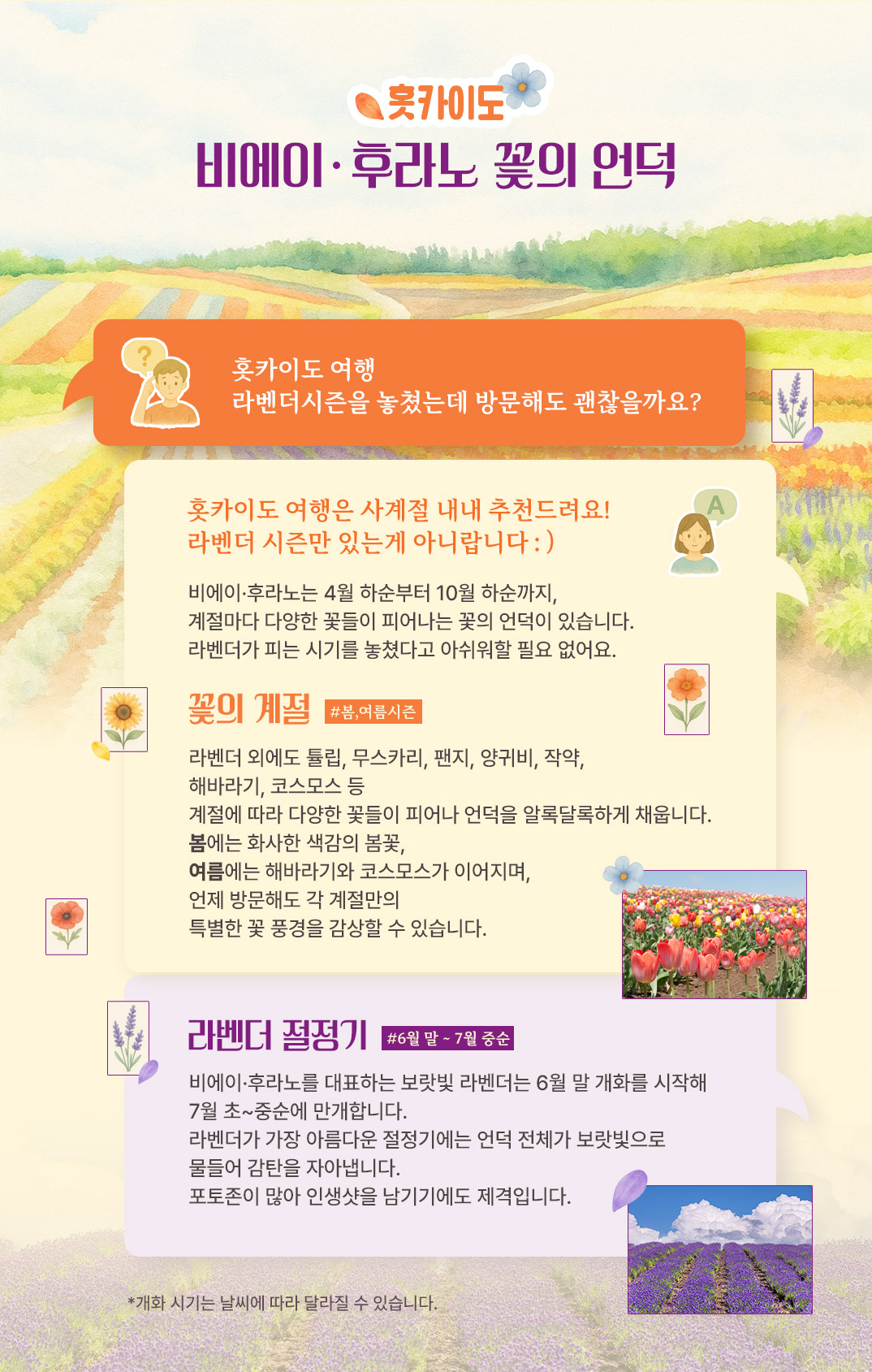 ??o??????????_06.jpg